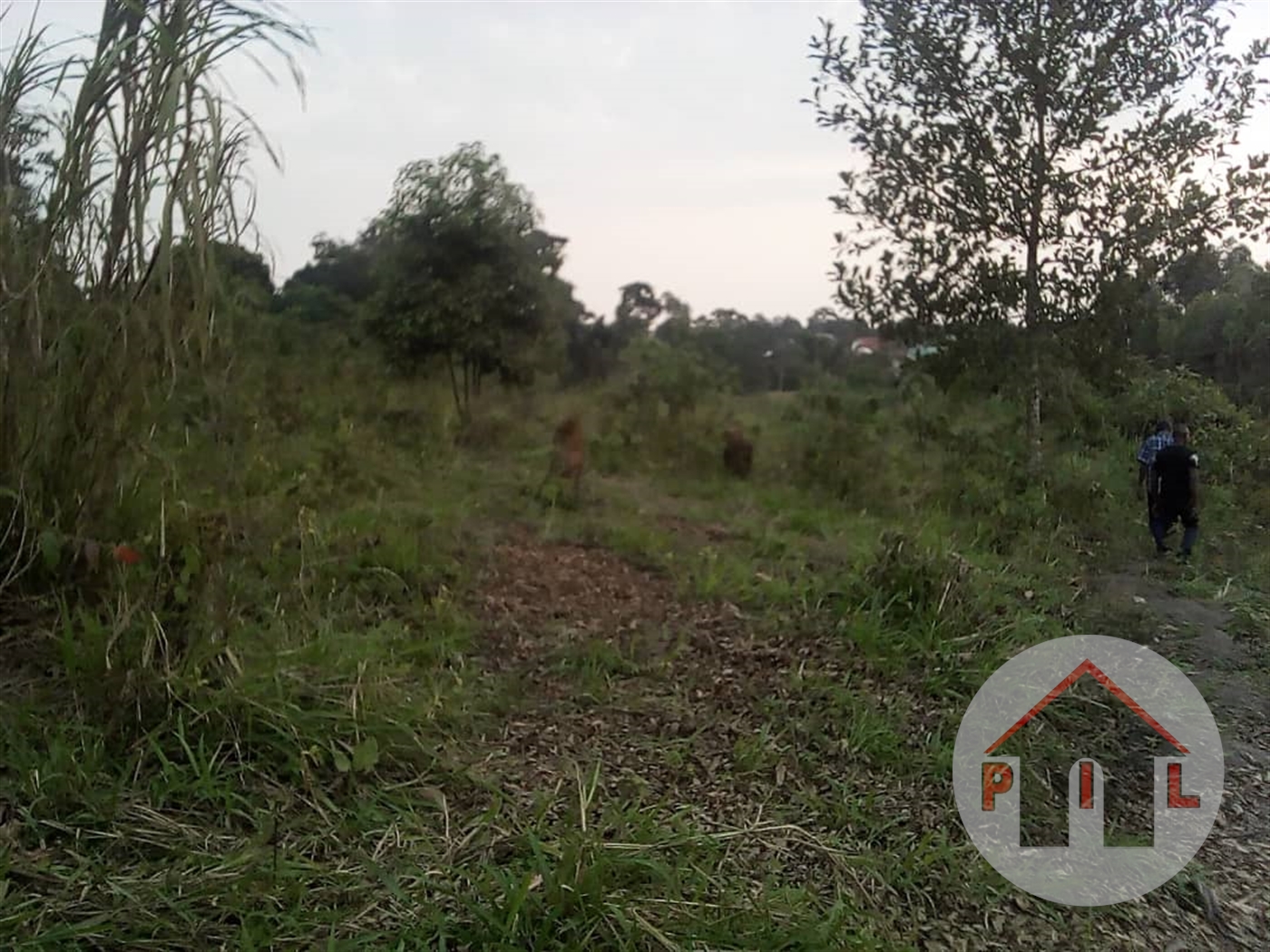 Residential Land for sale in Kasangati Wakiso