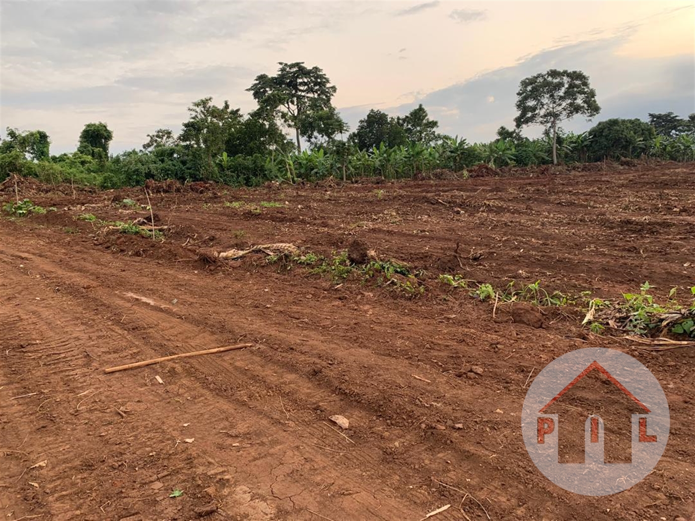 Agricultural Land for sale in Bulambuli Mbaale