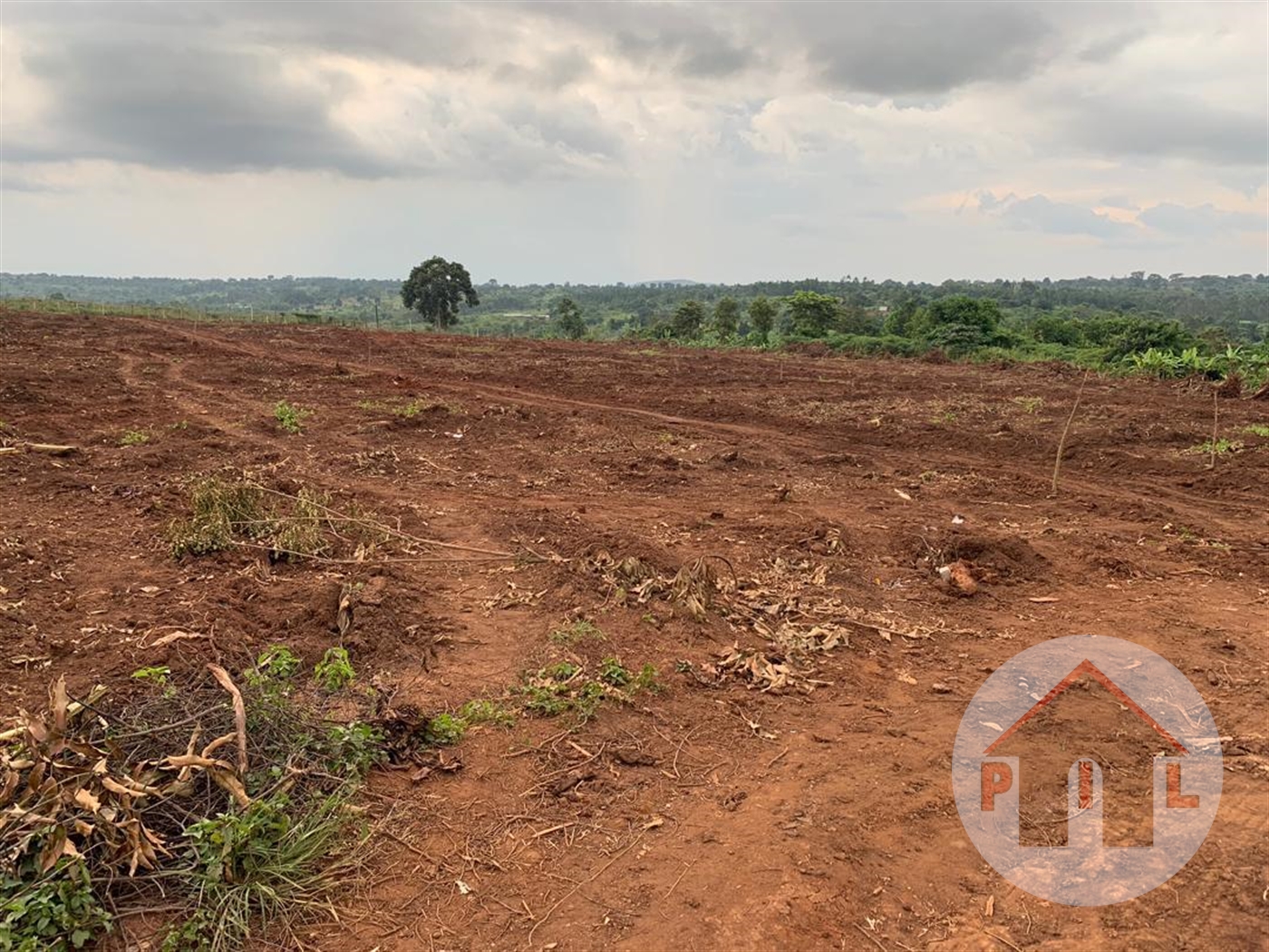 Agricultural Land for sale in Bulambuli Mbaale