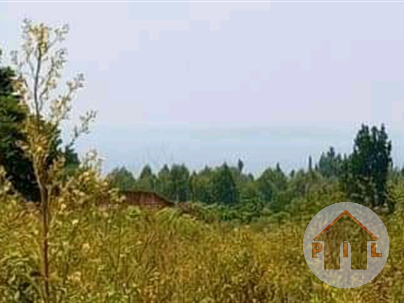 Residential Land for sale in Zziba Wakiso