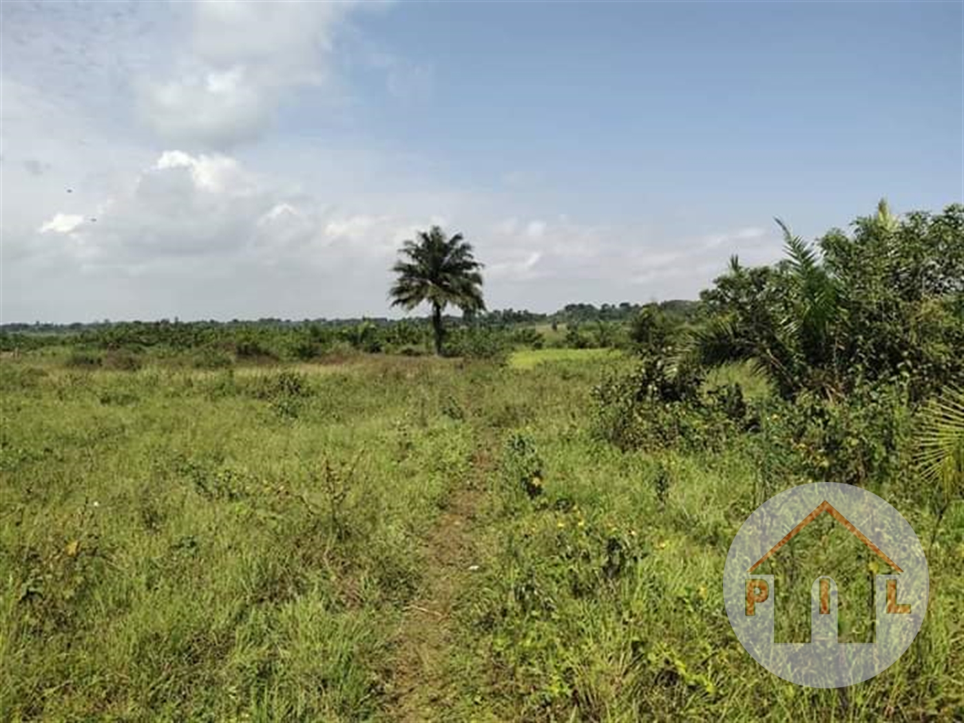 Agricultural Land for sale in Nyenga Bukwa