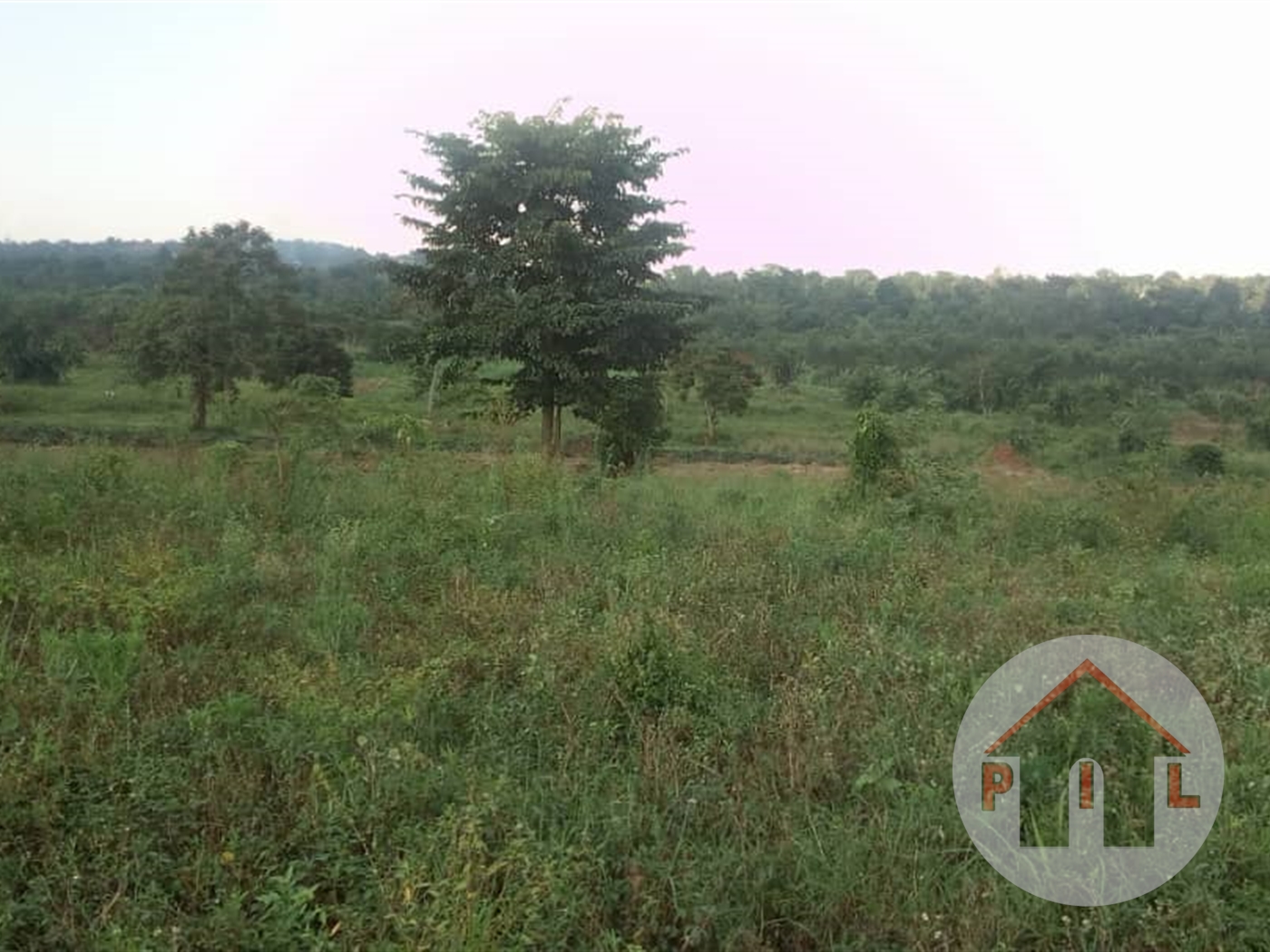 Agricultural Land for sale in Bugema Luweero