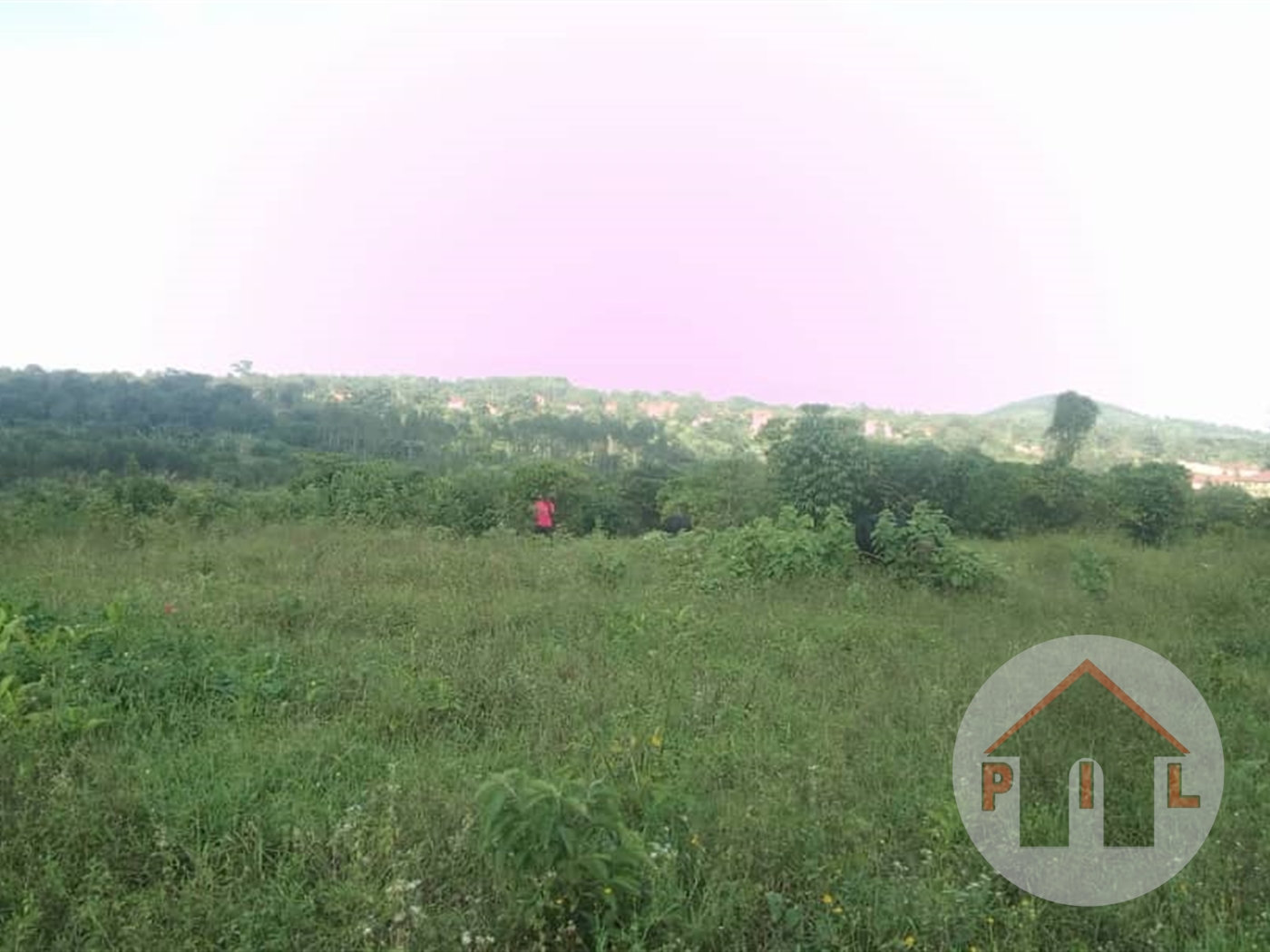 Agricultural Land for sale in Bugema Luweero