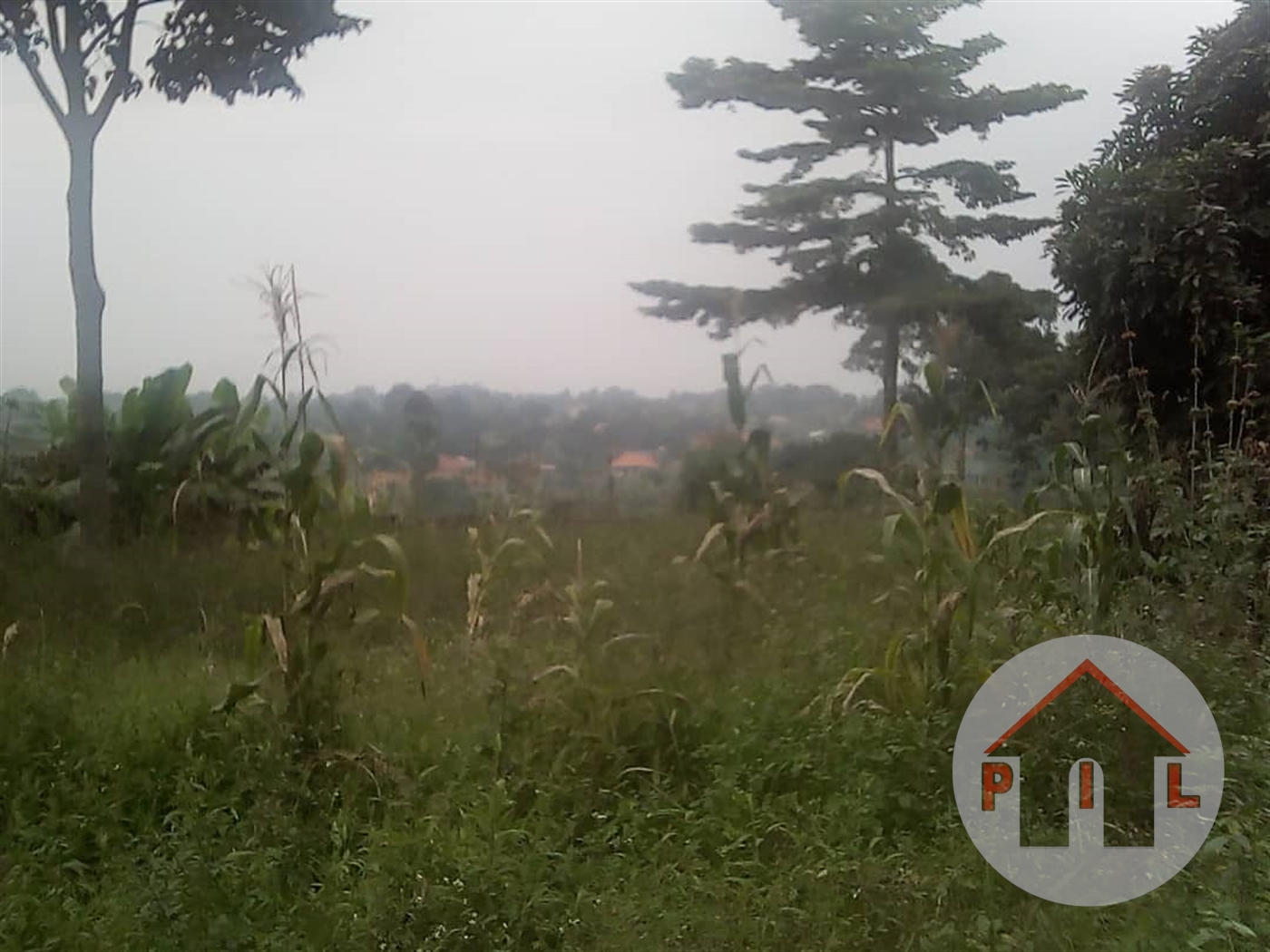 Residential Land for sale in Kasangati Wakiso