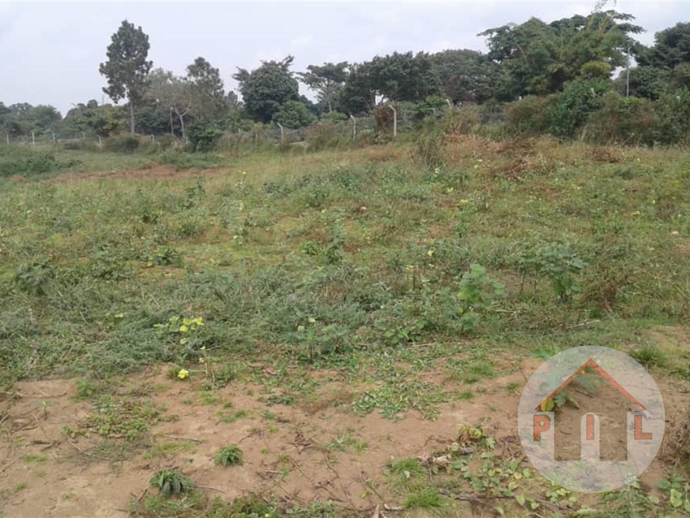 Agricultural Land for sale in Njeru Jinja