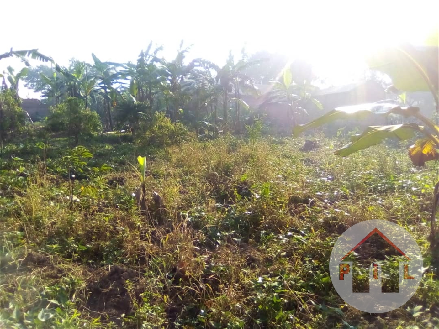 Residential Land for sale in Kitende Wakiso