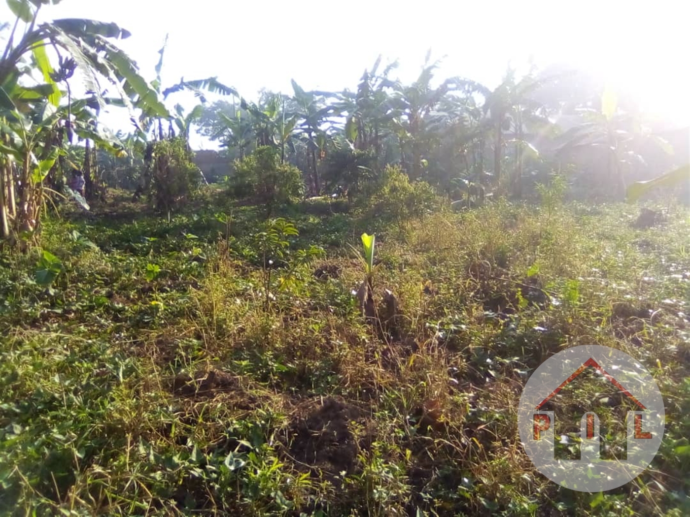 Residential Land for sale in Kitende Wakiso