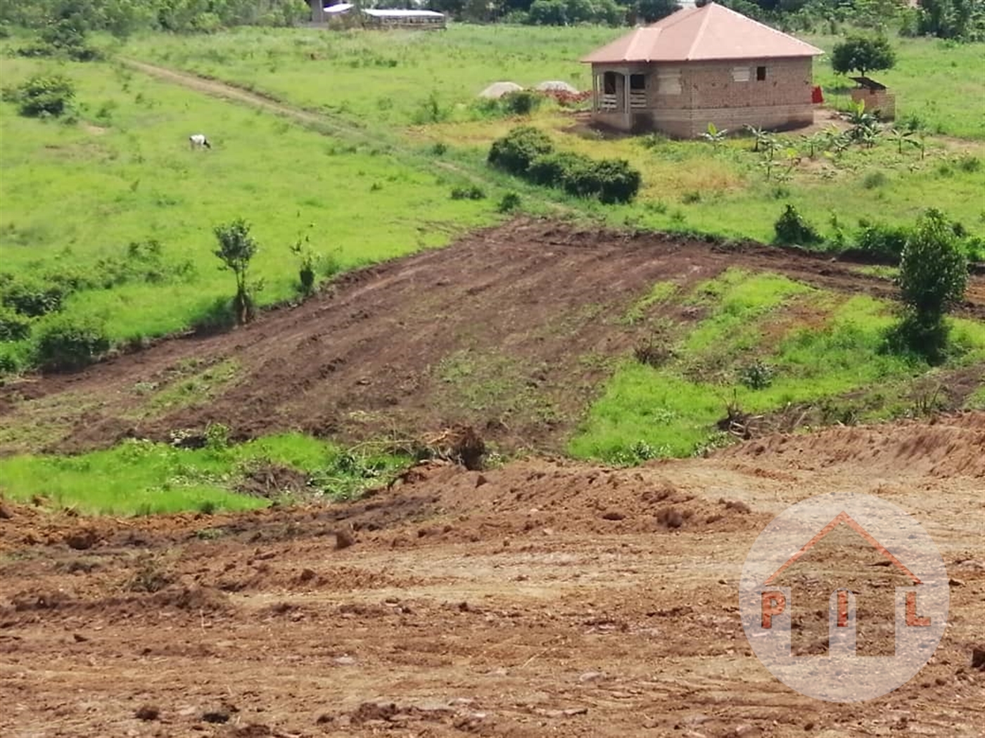 Residential Land for sale in Kiwenda Wakiso