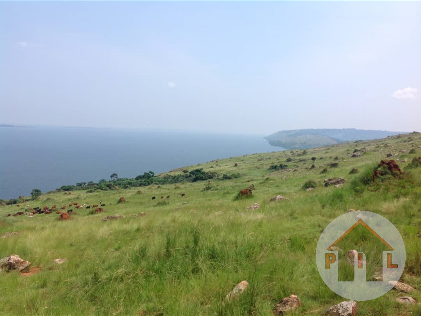Agricultural Land for sale in Buyikwe Bukwa