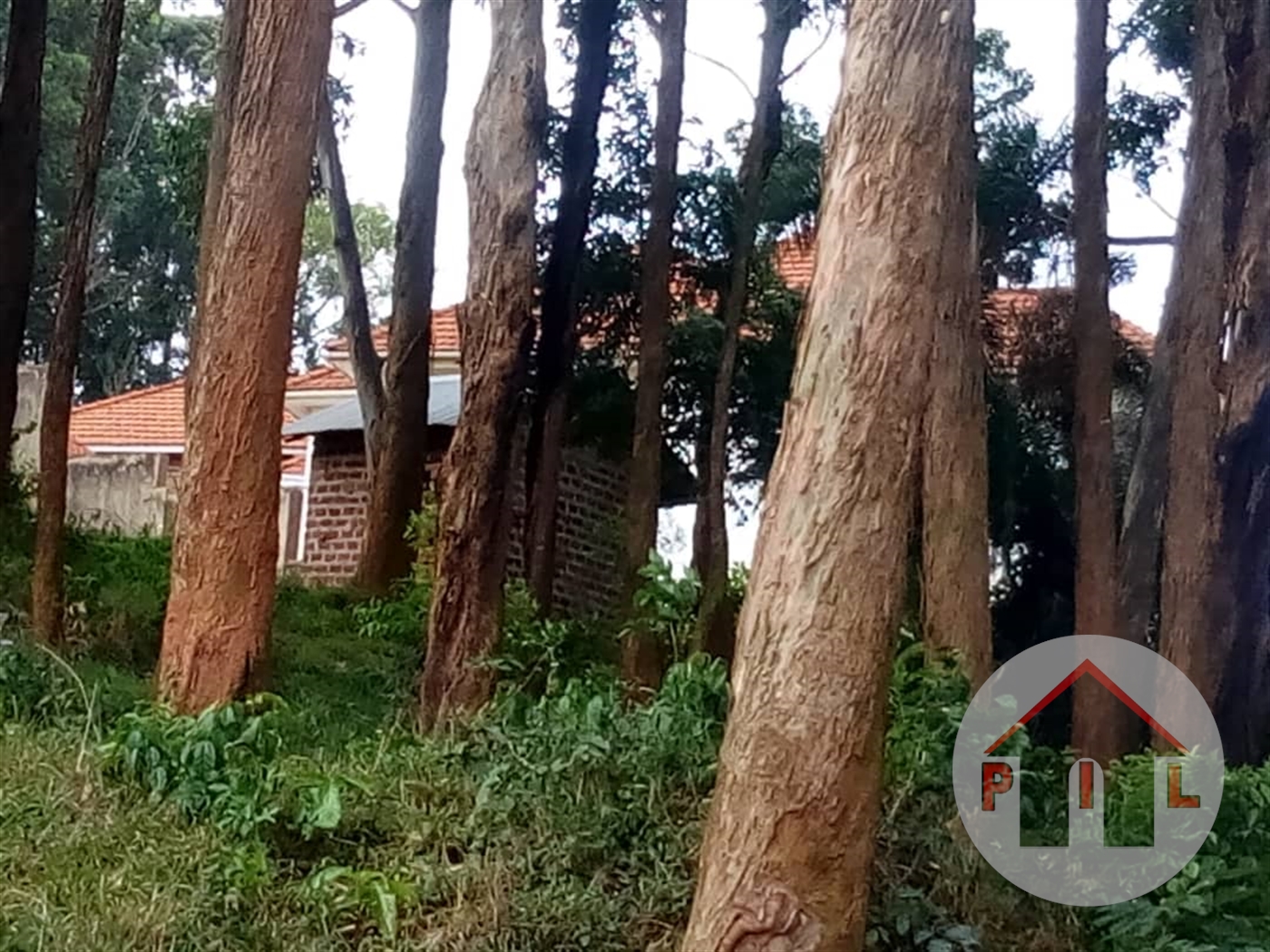 Residential Land for sale in Seguku Wakiso