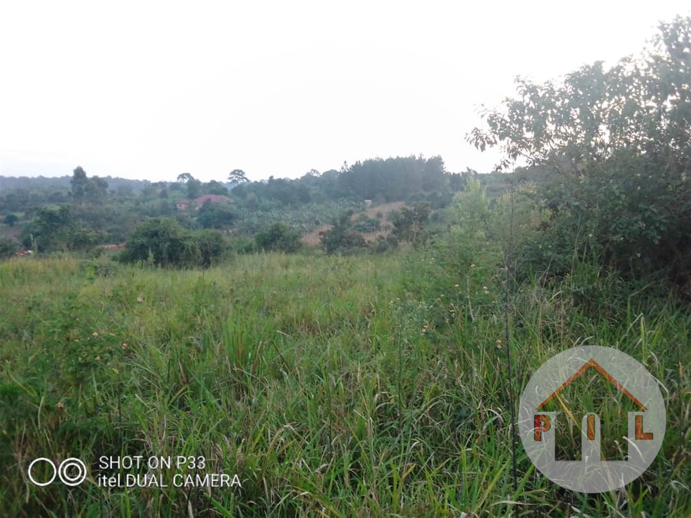 Residential Land for sale in Namulonge Wakiso