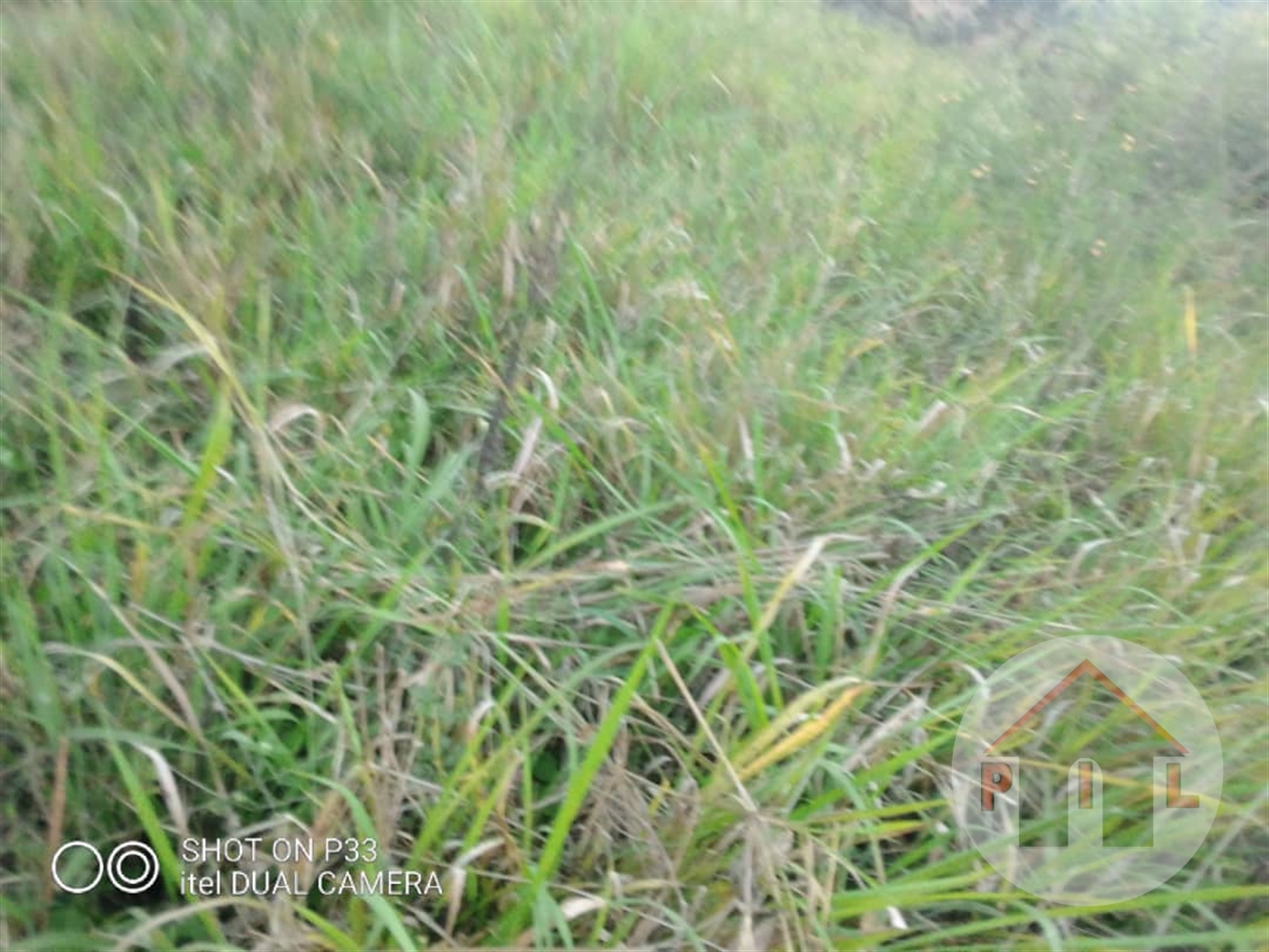 Residential Land for sale in Namulonge Wakiso