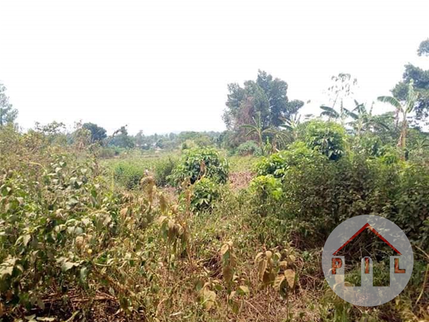 Residential Land for sale in Busukuma Wakiso