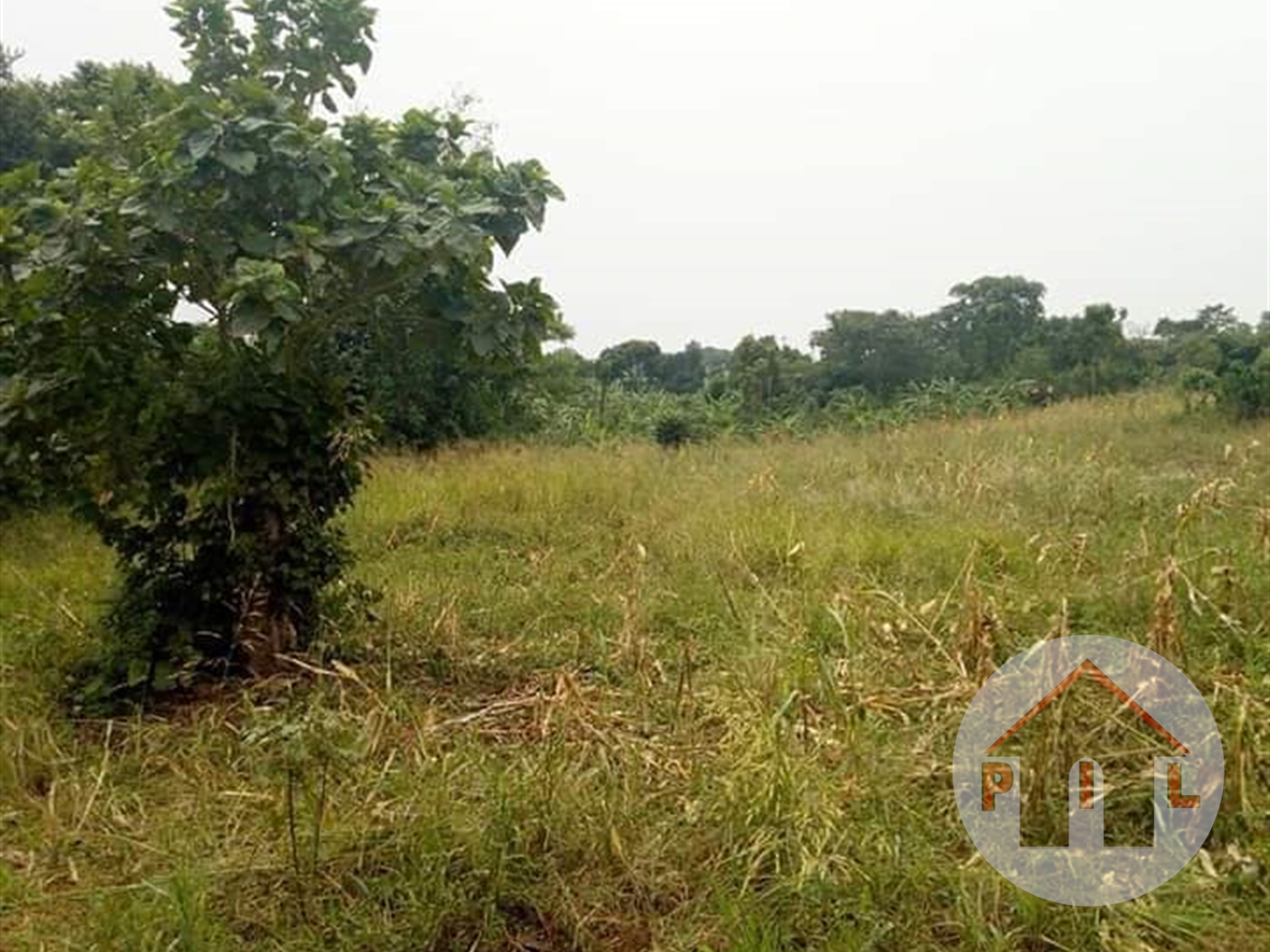 Residential Land for sale in Canaan Wakiso