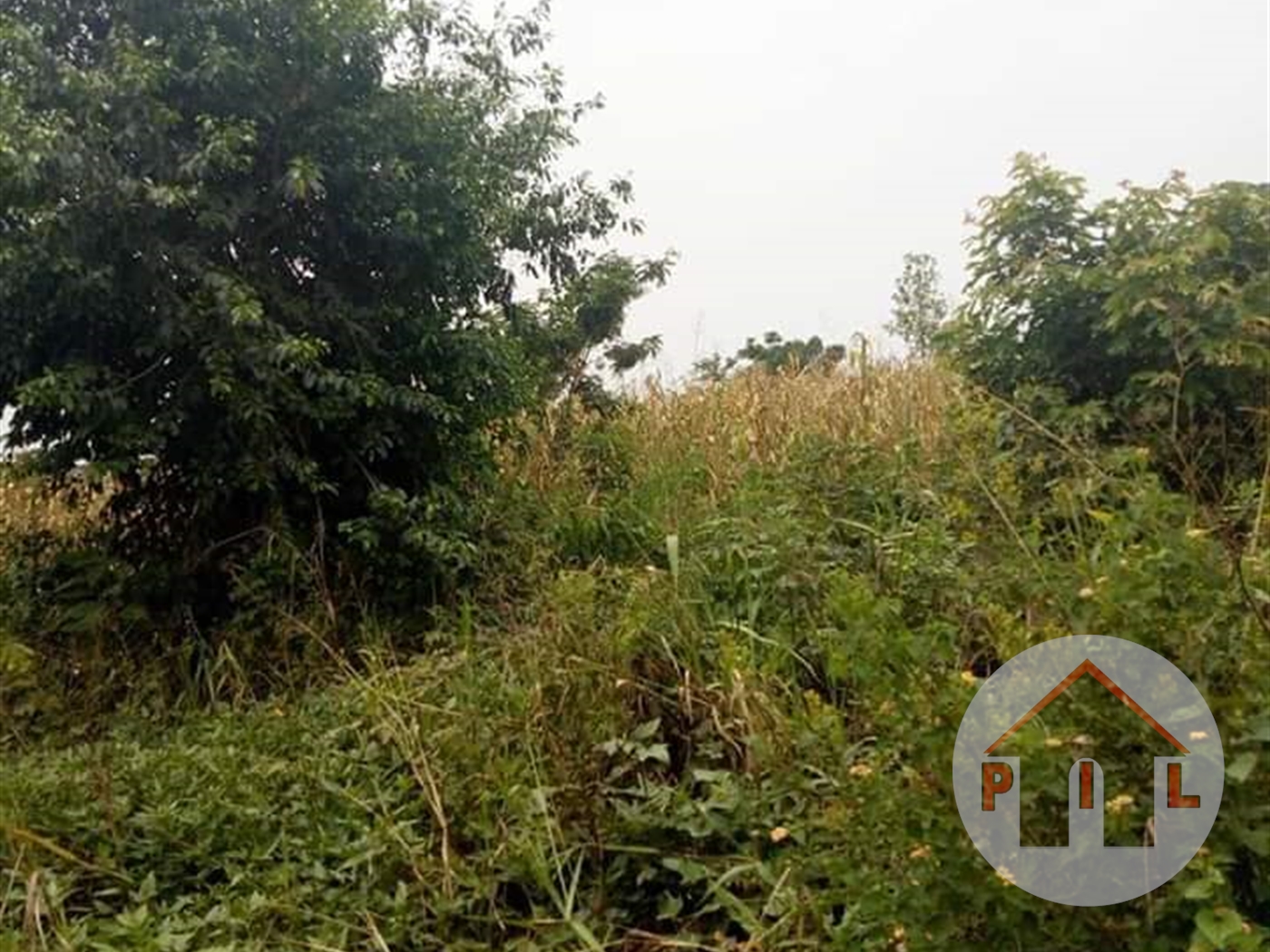 Residential Land for sale in Canaan Wakiso