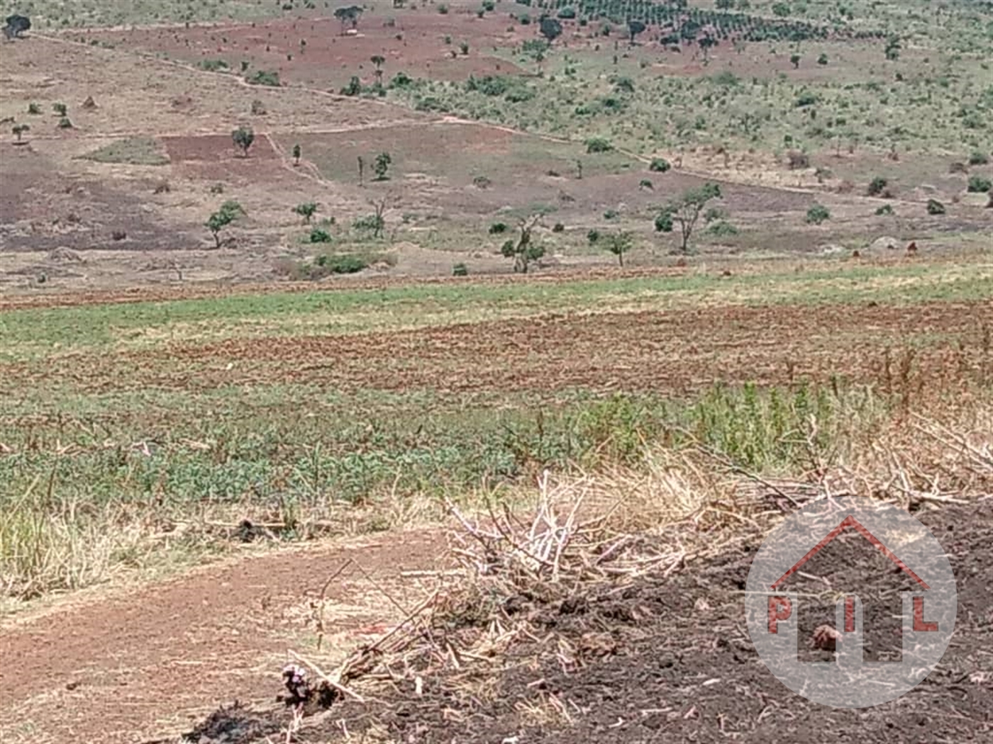 Agricultural Land for sale in Namasagali Kamuli