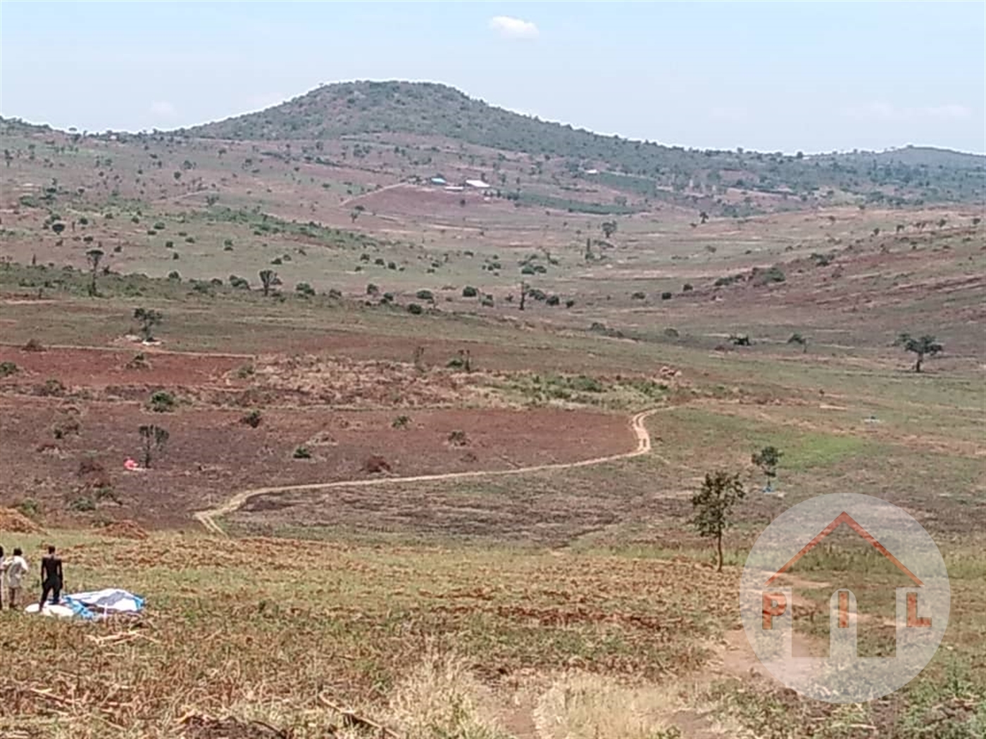 Agricultural Land for sale in Namasagali Kamuli