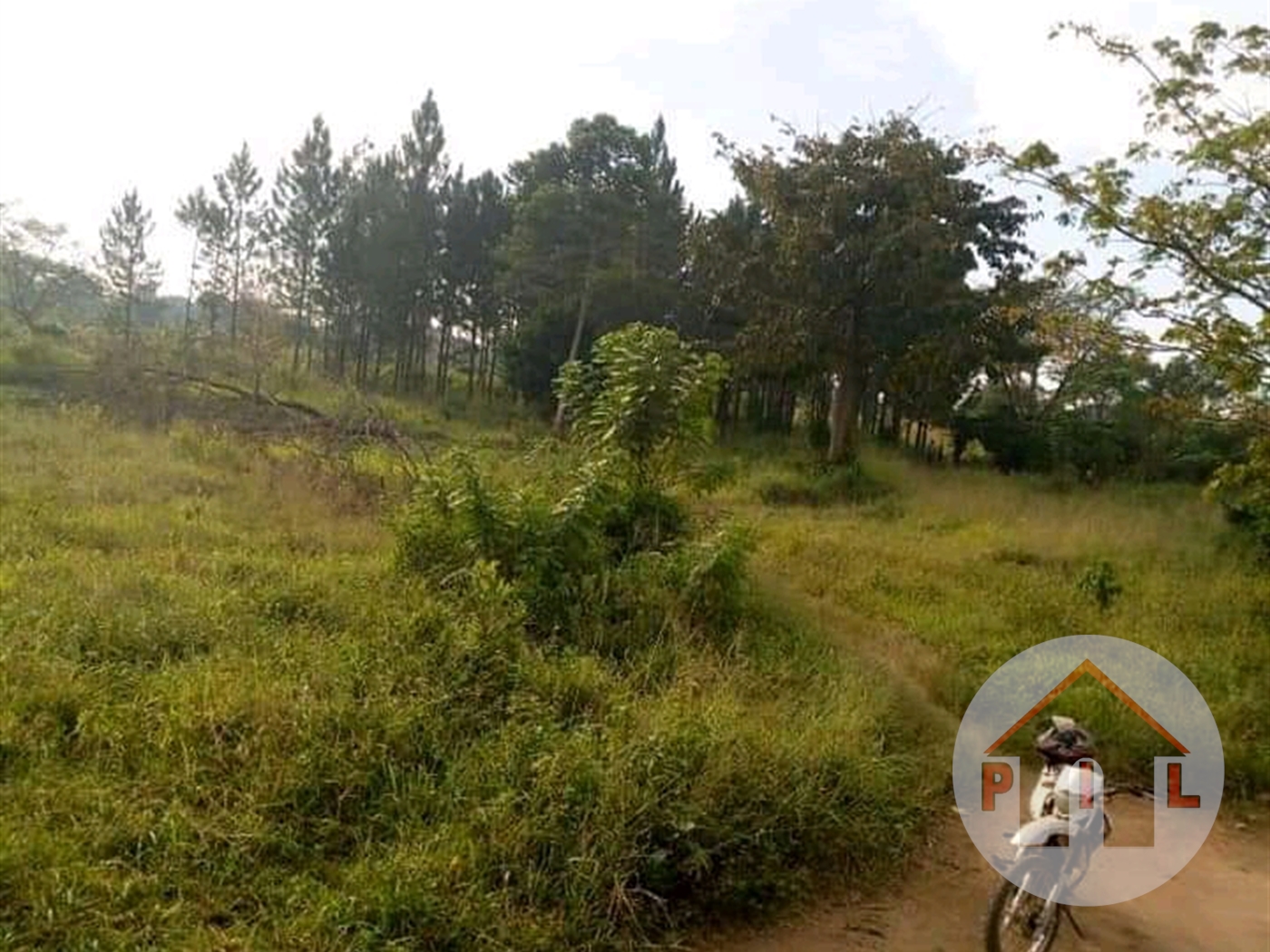 Agricultural Land for sale in Napak Moroto