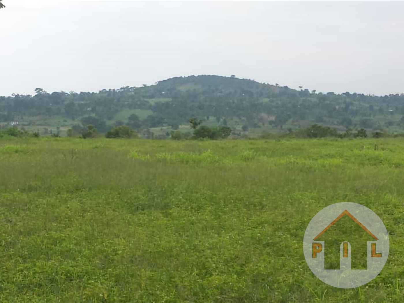 Agricultural Land for sale in Mabira Mukono