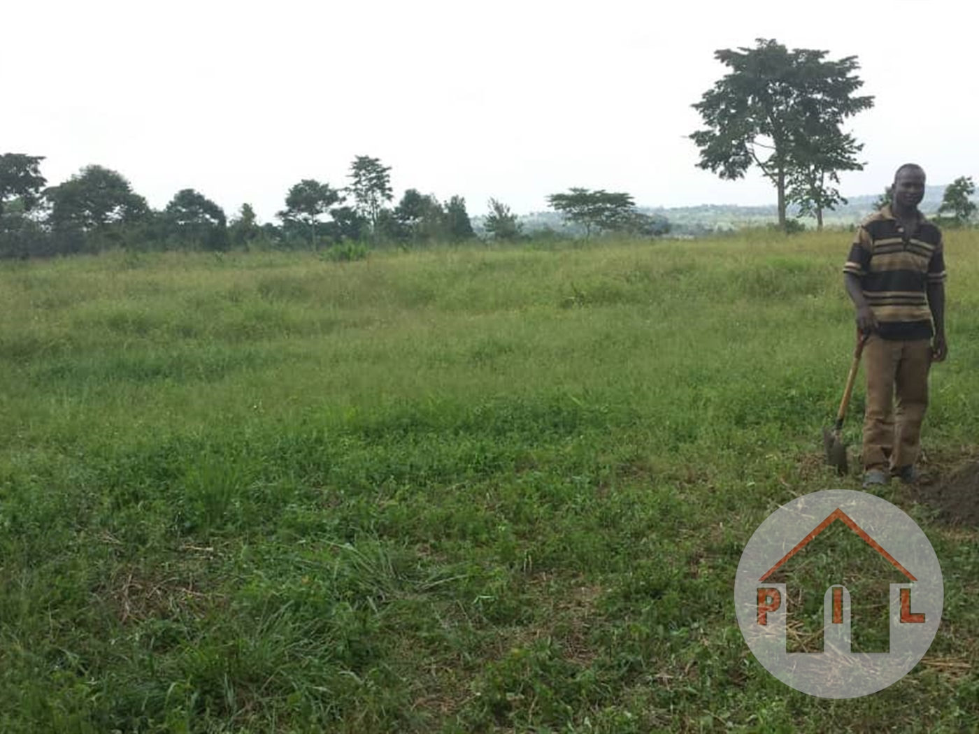 Agricultural Land for sale in Mabira Mukono