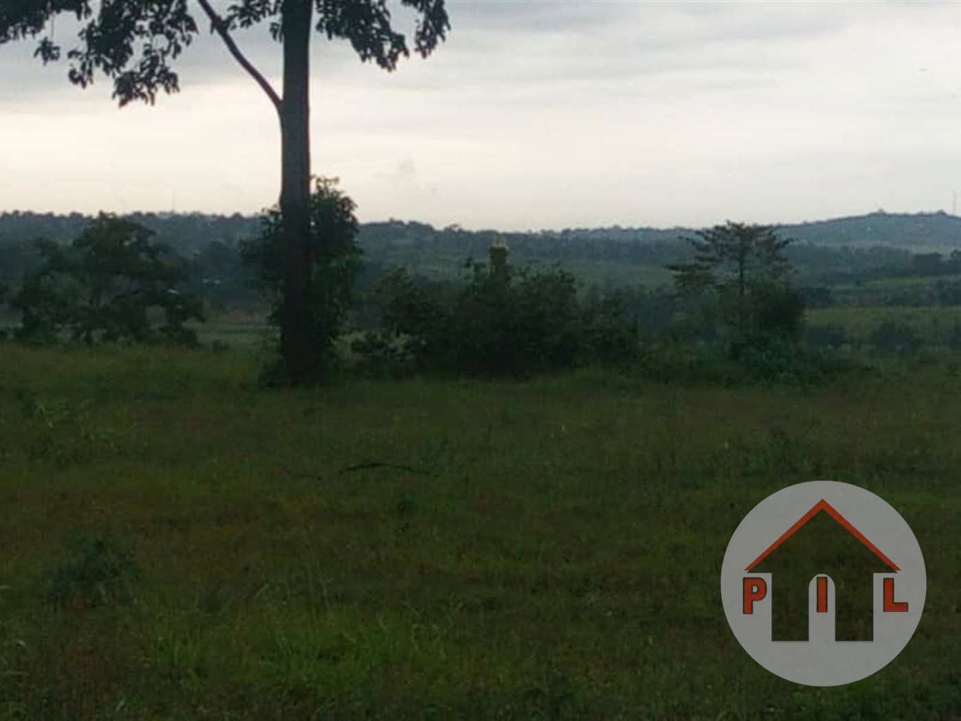 Agricultural Land for sale in Mabira Mukono