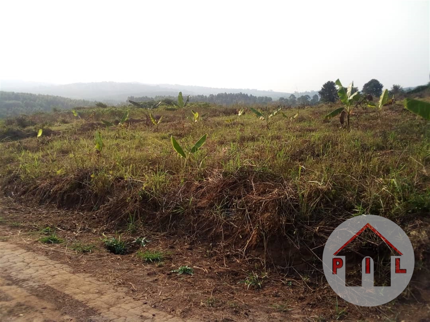 Industrial Land for sale in Namanve Mukono