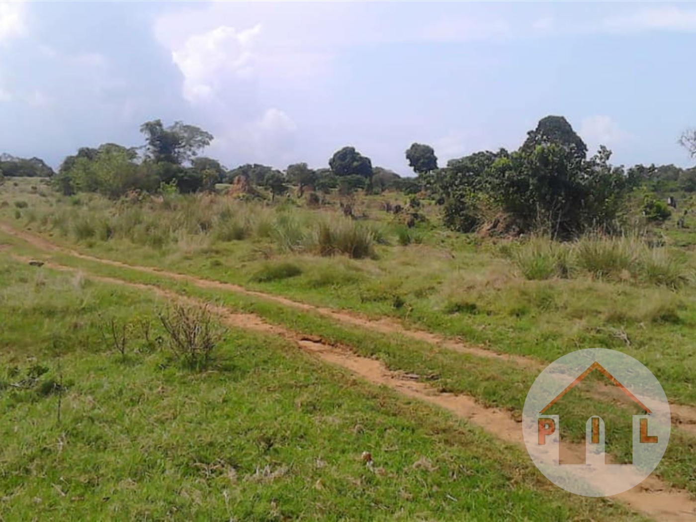 Agricultural Land for sale in Zimwe Masaka