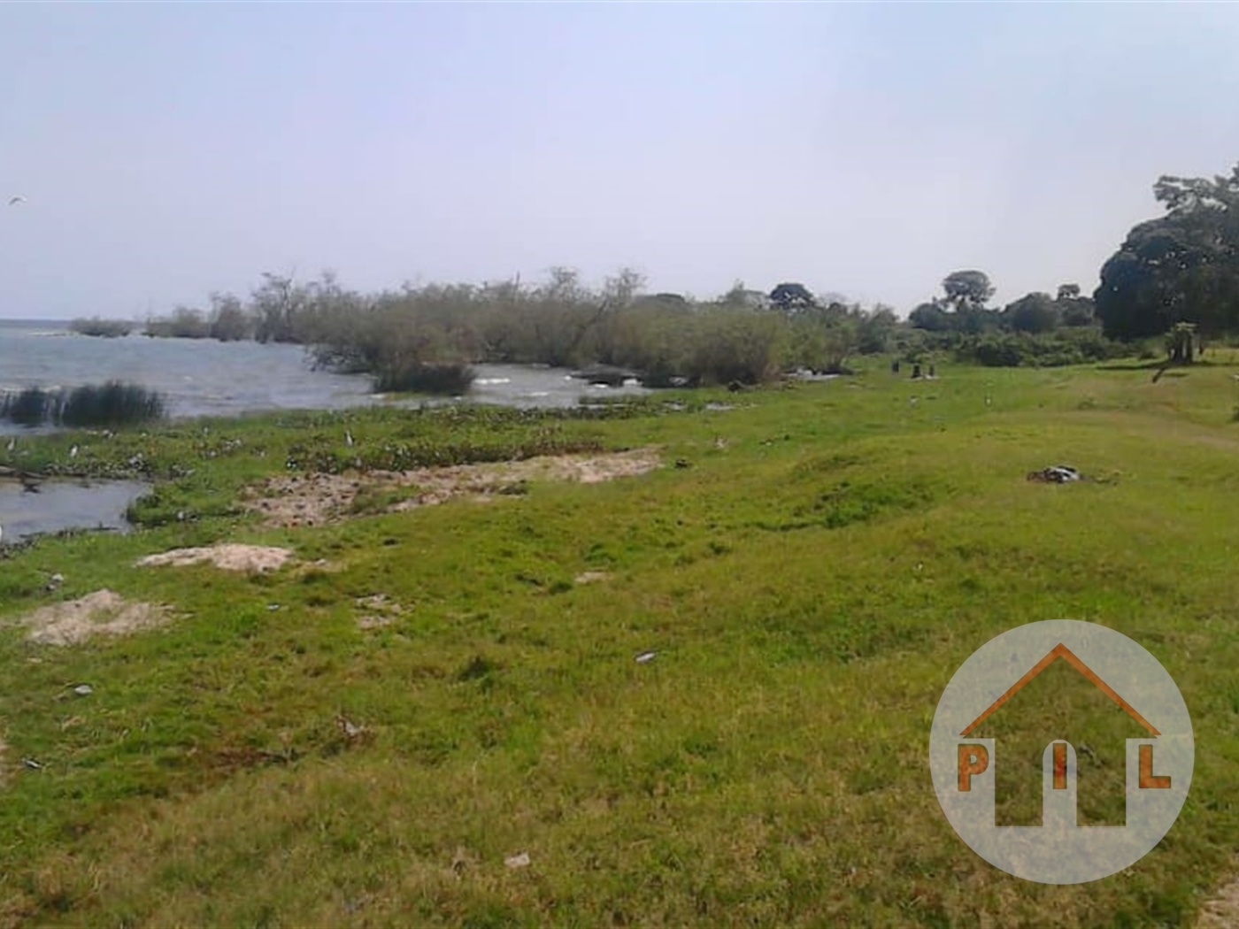 Agricultural Land for sale in Zimwe Masaka