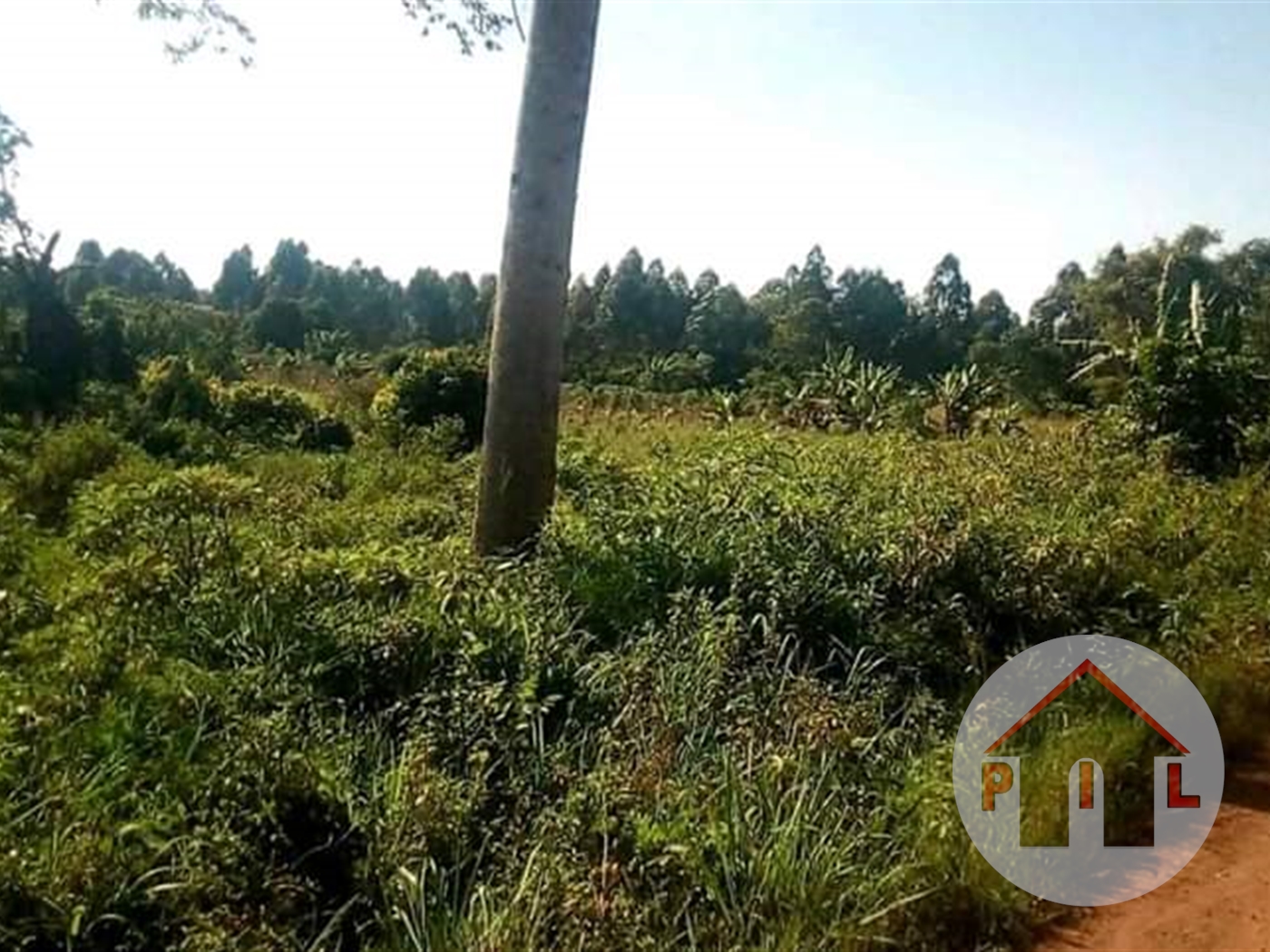 Agricultural Land for sale in Kalungu Masaka