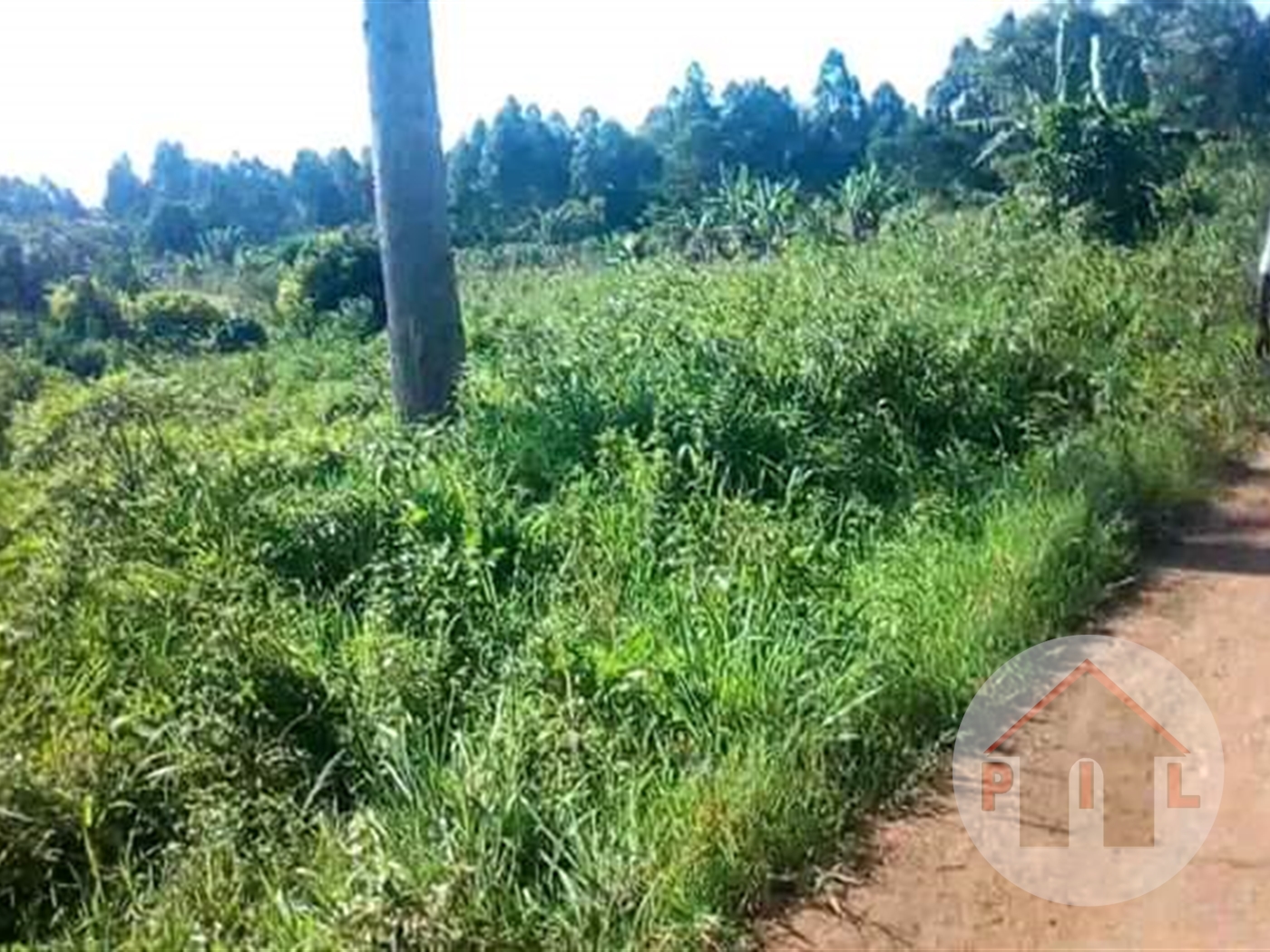 Agricultural Land for sale in Kalungu Masaka