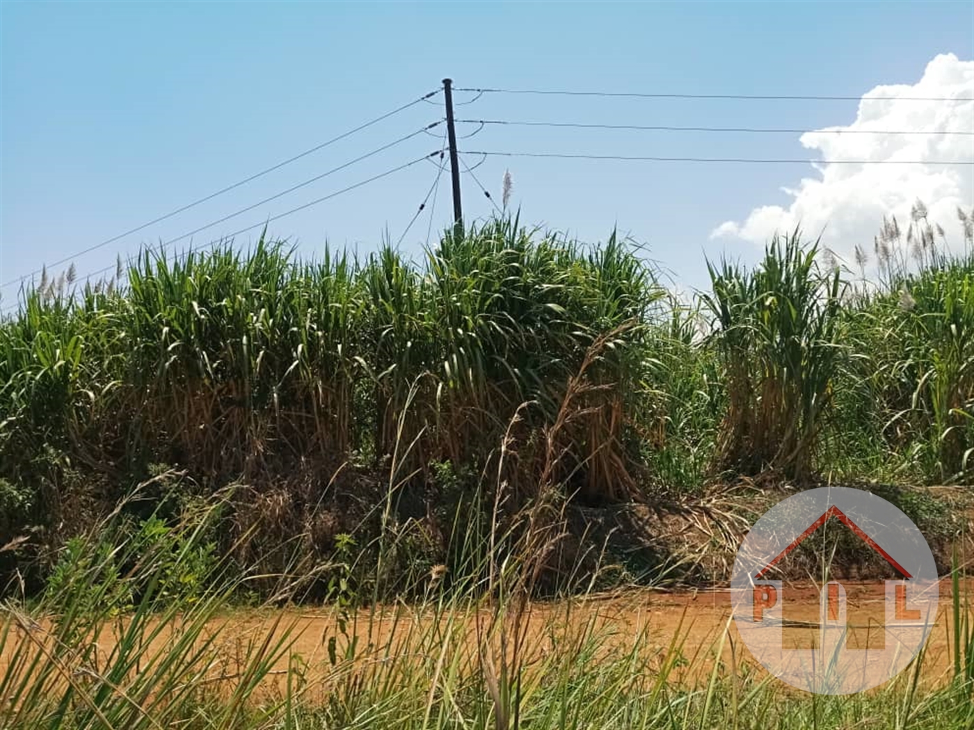 Agricultural Land for sale in Lukaya Masaka