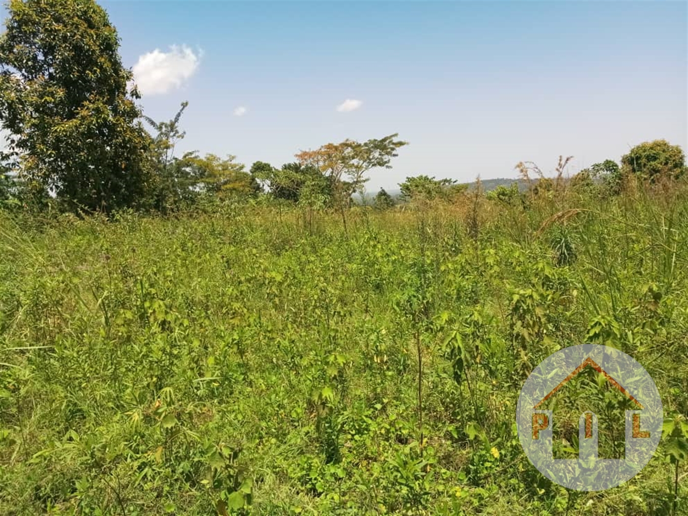 Agricultural Land for sale in Lukaya Masaka