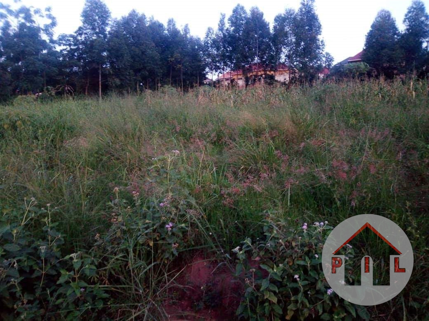 Residential Land for sale in Namugongo Wakiso