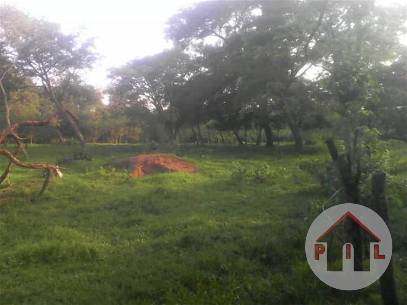 Agricultural Land for sale in Maya Wakiso