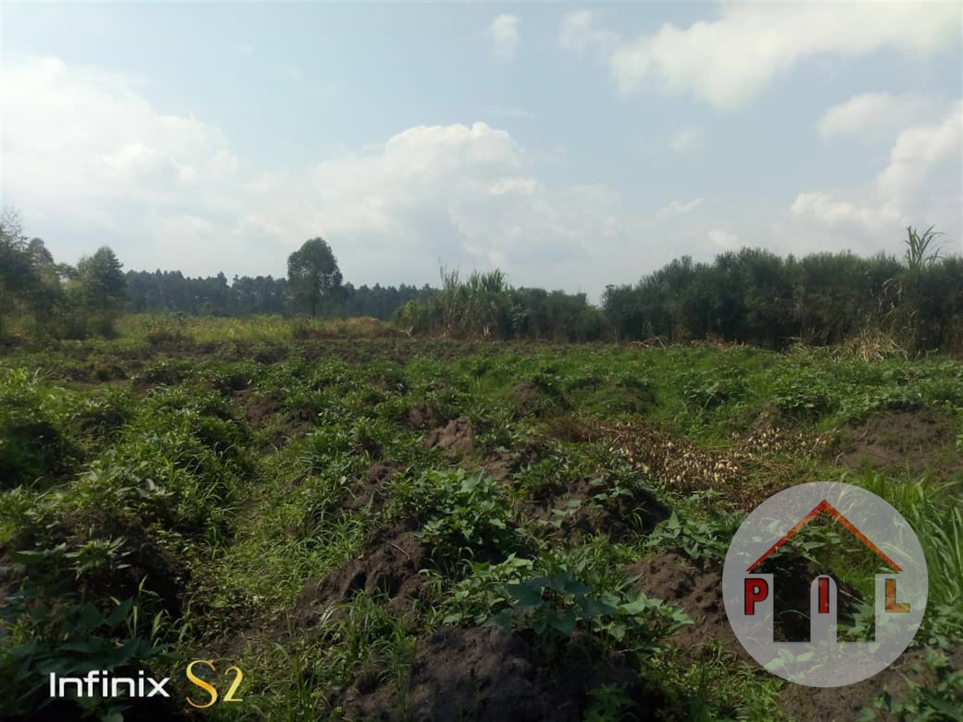 Agricultural Land for sale in Bujuuko Mpigi