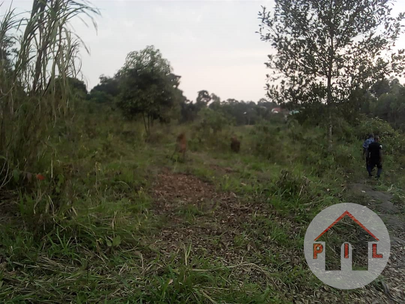Residential Land for sale in Busiika Wakiso