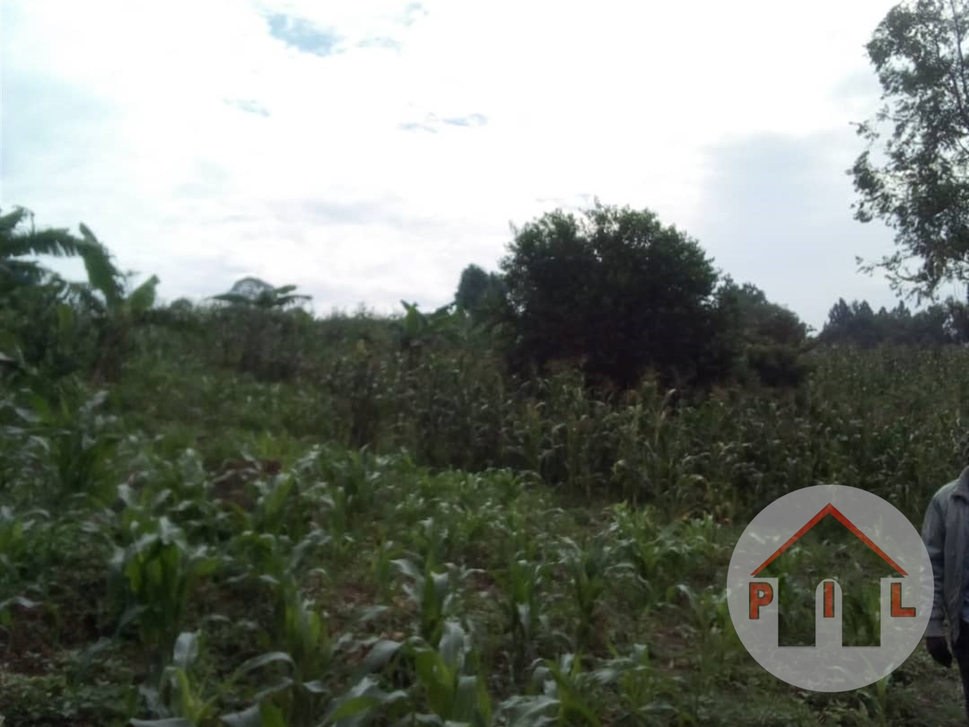 Residential Land for sale in Nangabo Wakiso