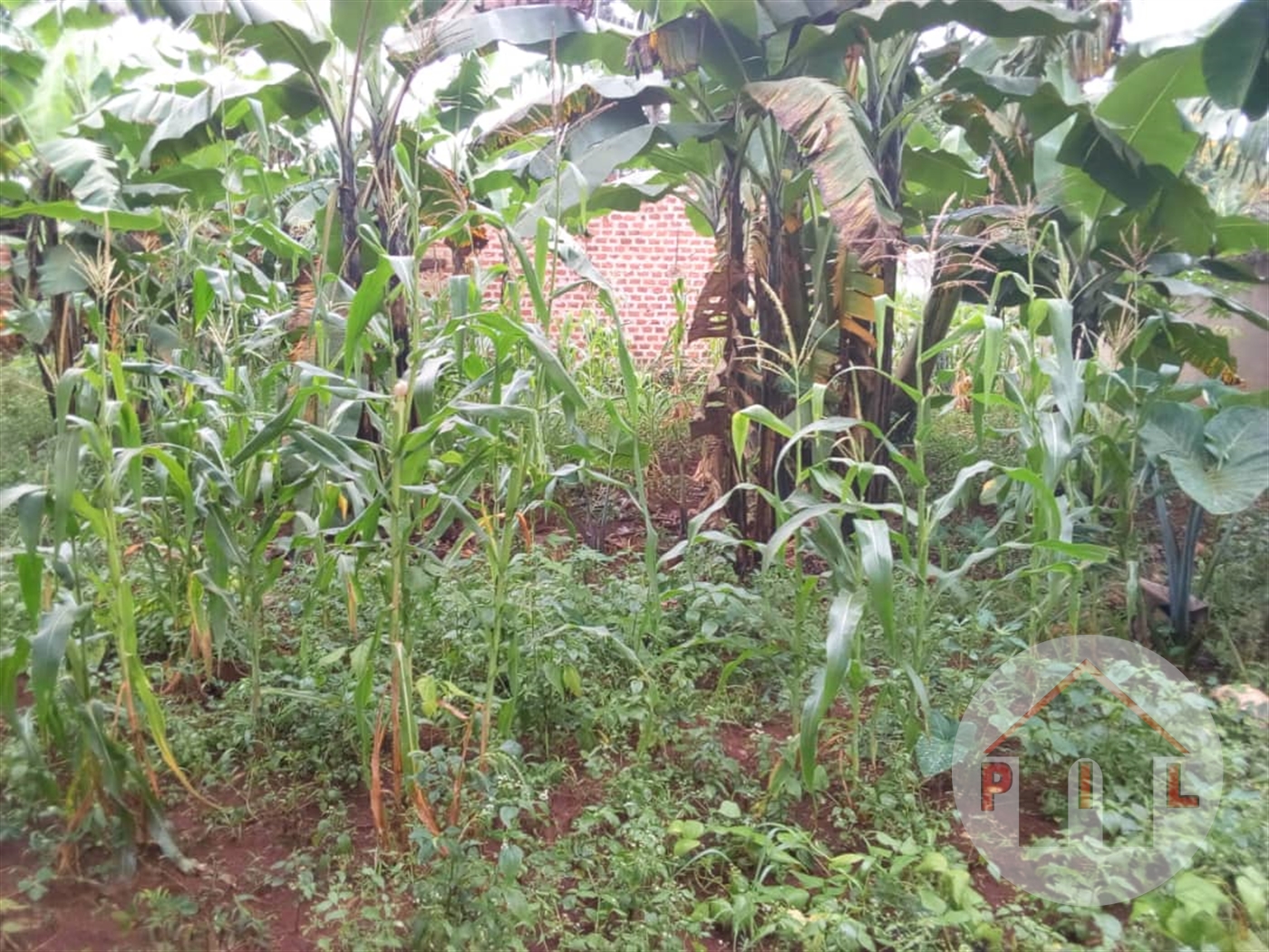 Residential Land for sale in Namanve Wakiso