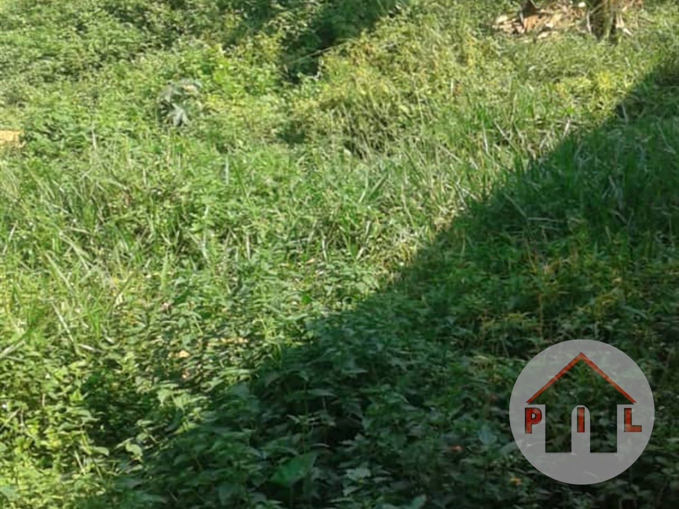 Residential Land for sale in Gayaza Wakiso