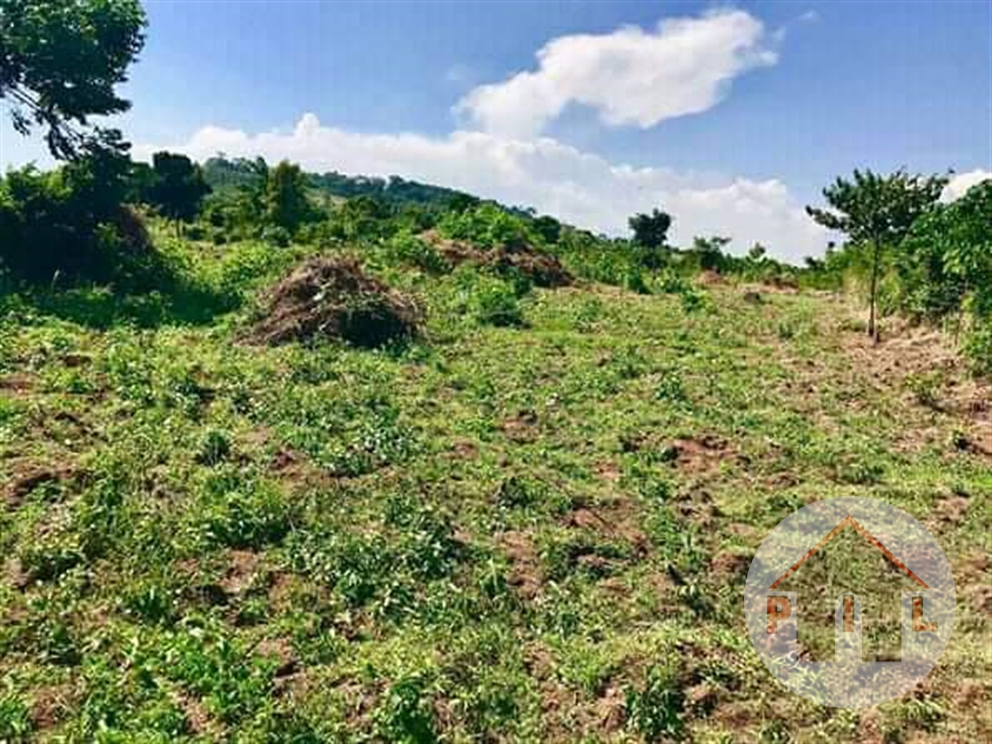 Agricultural Land for sale in Ziloobwe Luweero