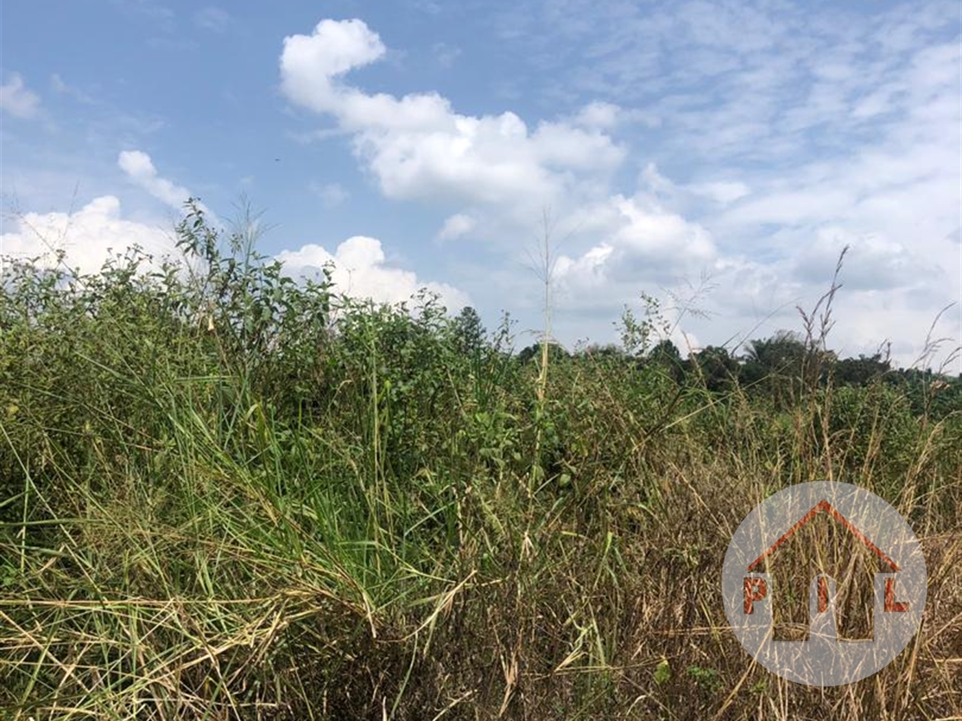 Agricultural Land for sale in Seguku Wakiso