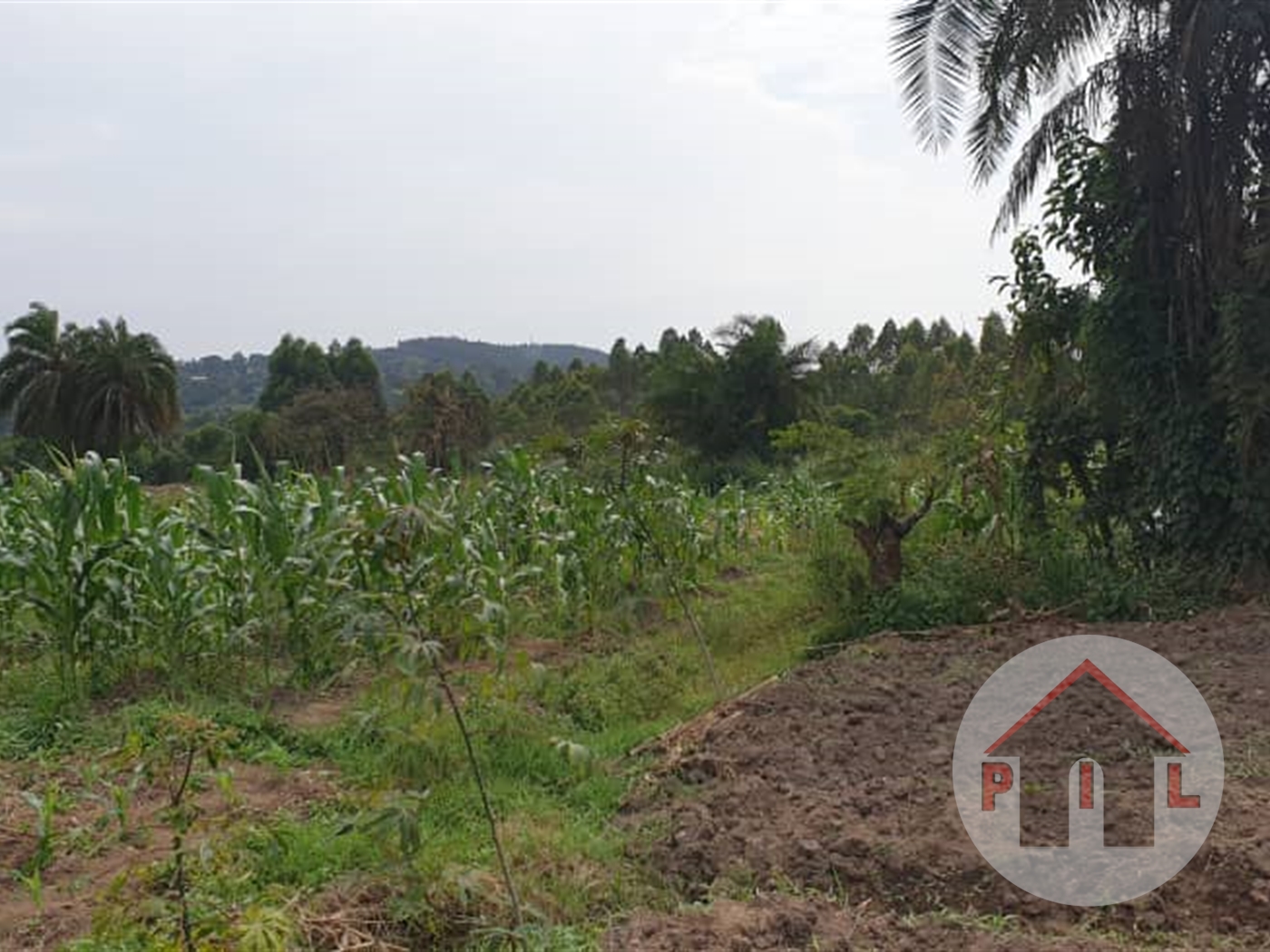 Agricultural Land for sale in Seguku Wakiso