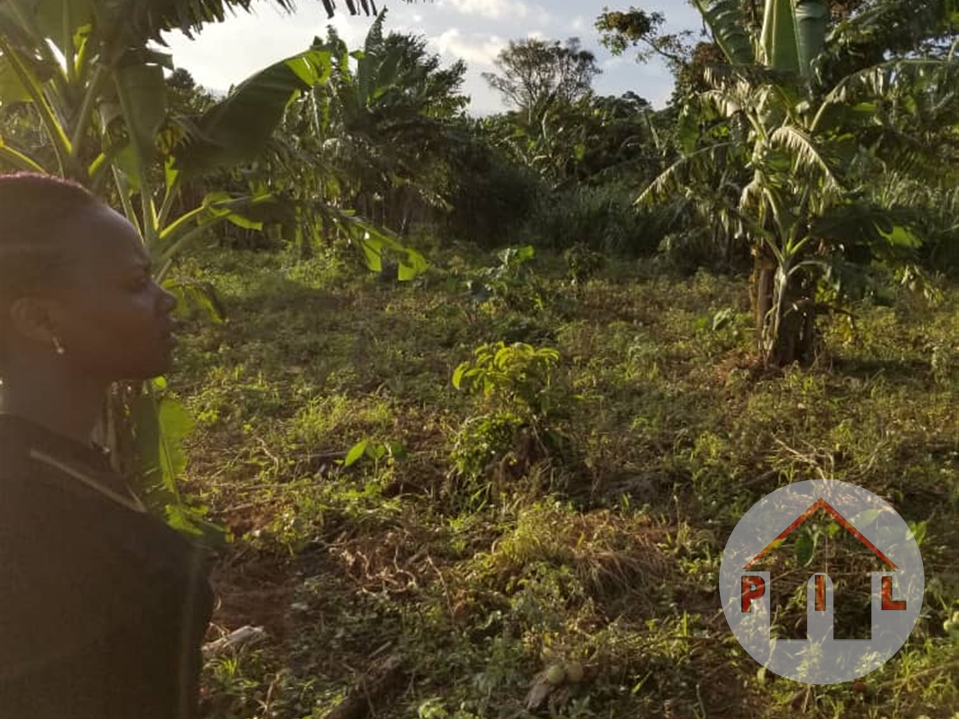 Agricultural Land for sale in Kasayi Mukono