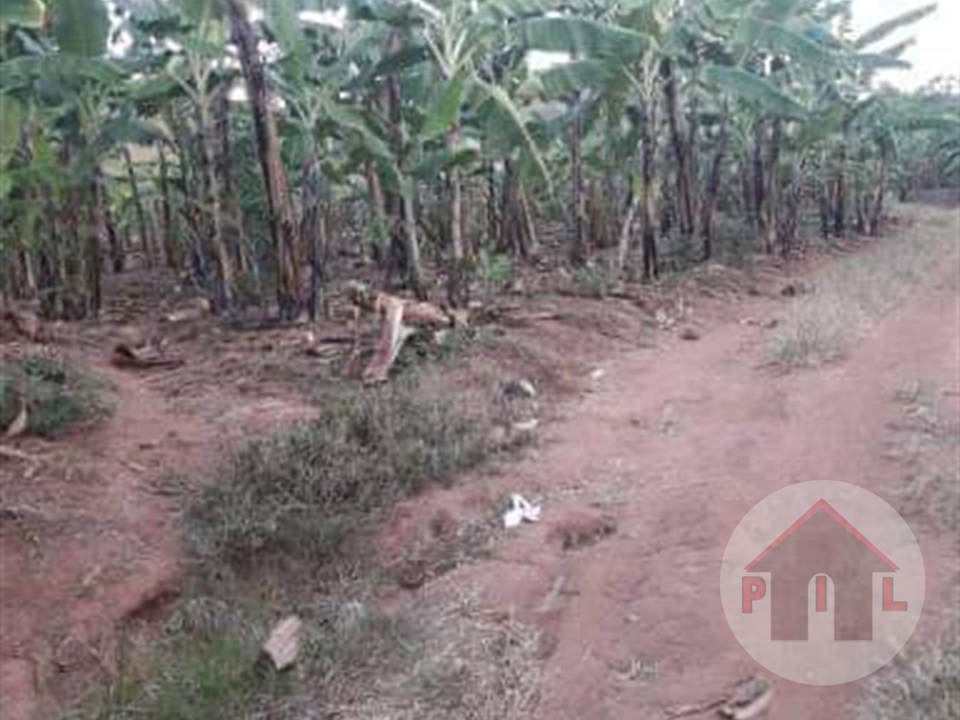 Agricultural Land for sale in Kayanda Mukono