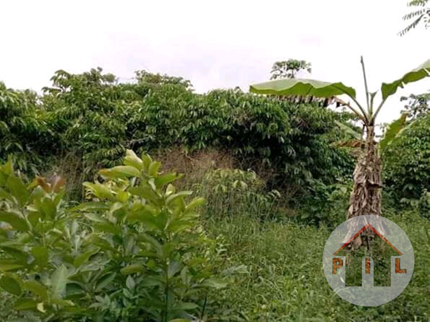 Agricultural Land for sale in Buddugala Mukono