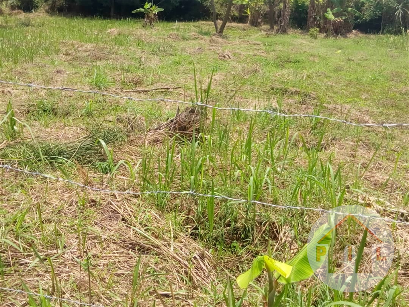 Agricultural Land for sale in Nakagere Mukono