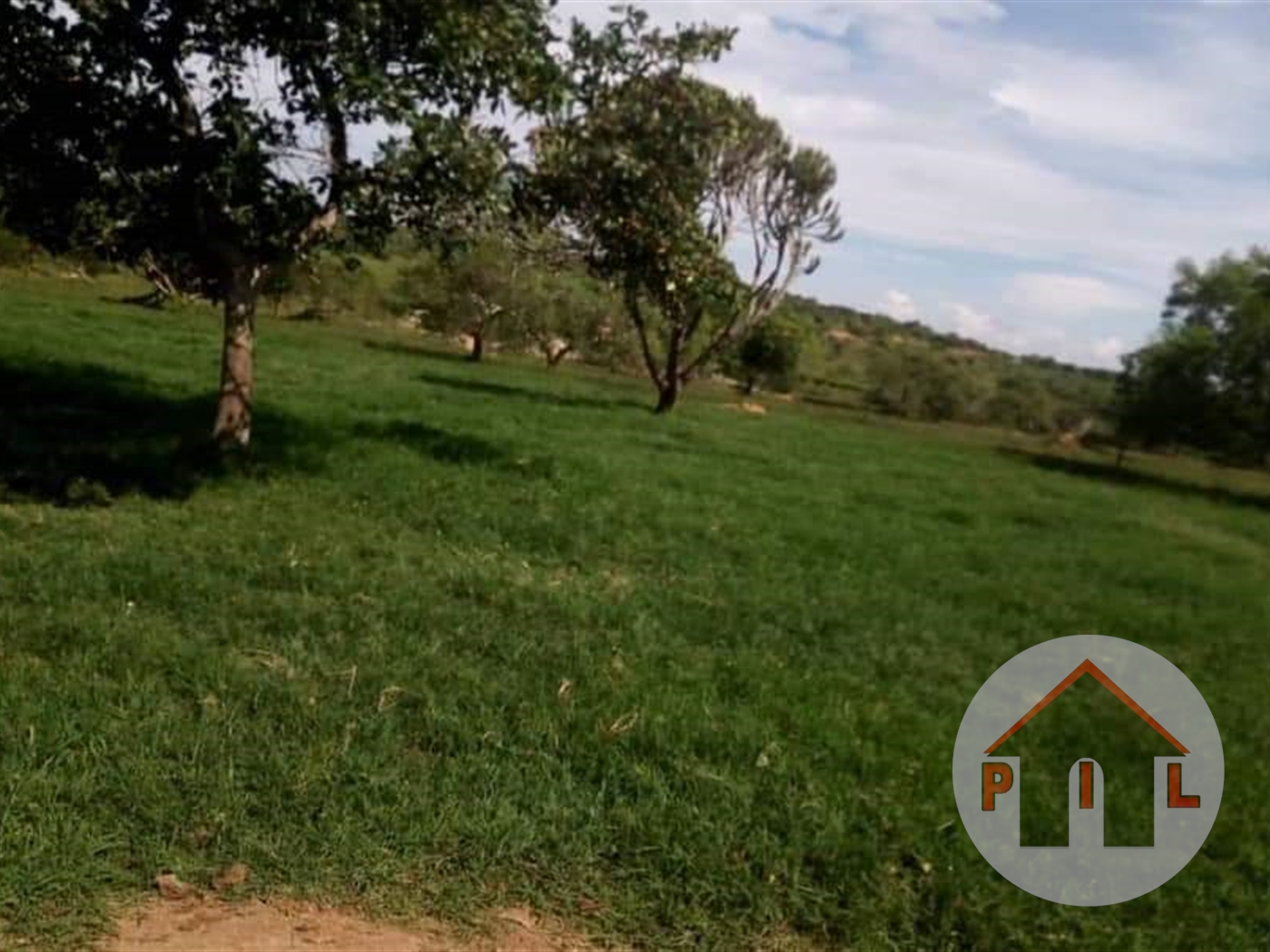 Agricultural Land for sale in Nshara Kiruhura