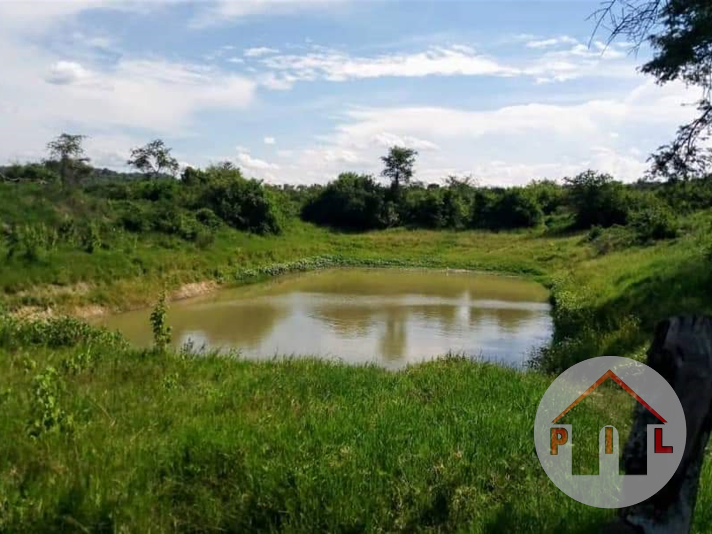 Agricultural Land for sale in Nshara Kiruhura