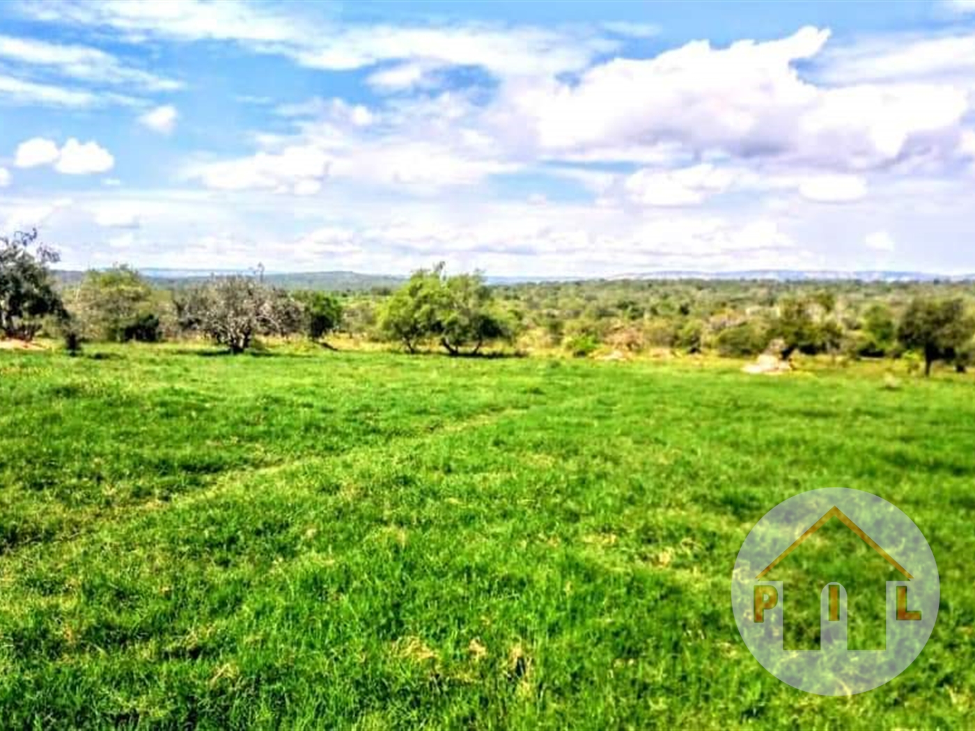 Agricultural Land for sale in Nshara Kiruhura