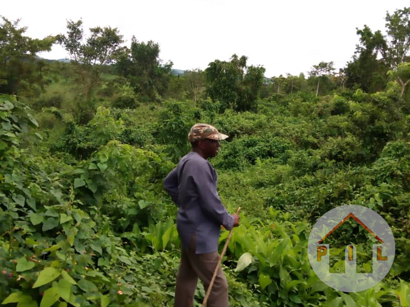Agricultural Land for sale in Kanyogoga Kayunga